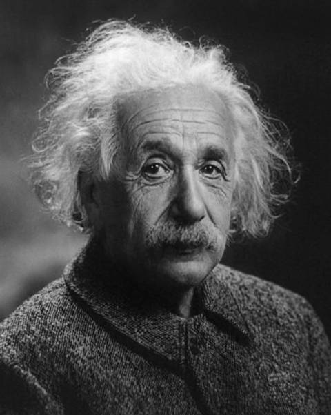 Albert einstein brain i6