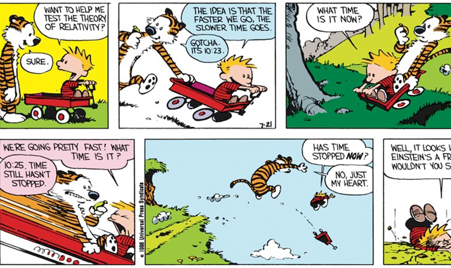 Calvin and Hobbes: Scientific Theory