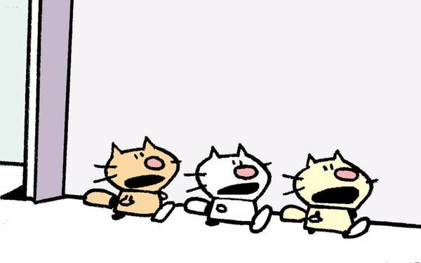 Ten Cats